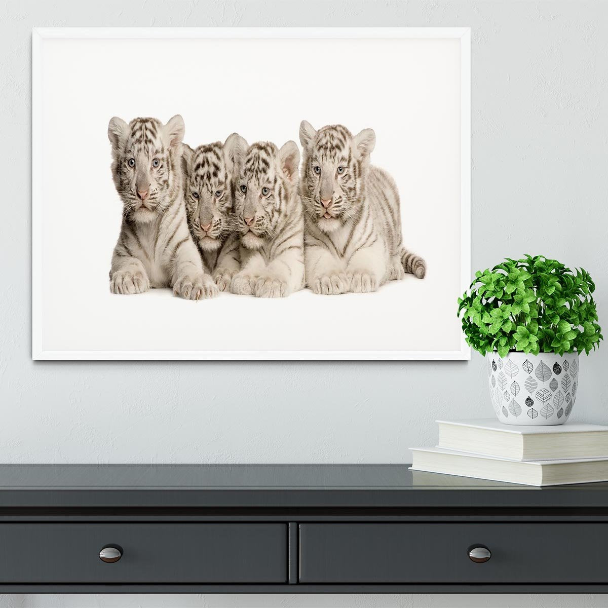 White Tiger cubs 2 months Framed Print - Canvas Art Rocks - 5
