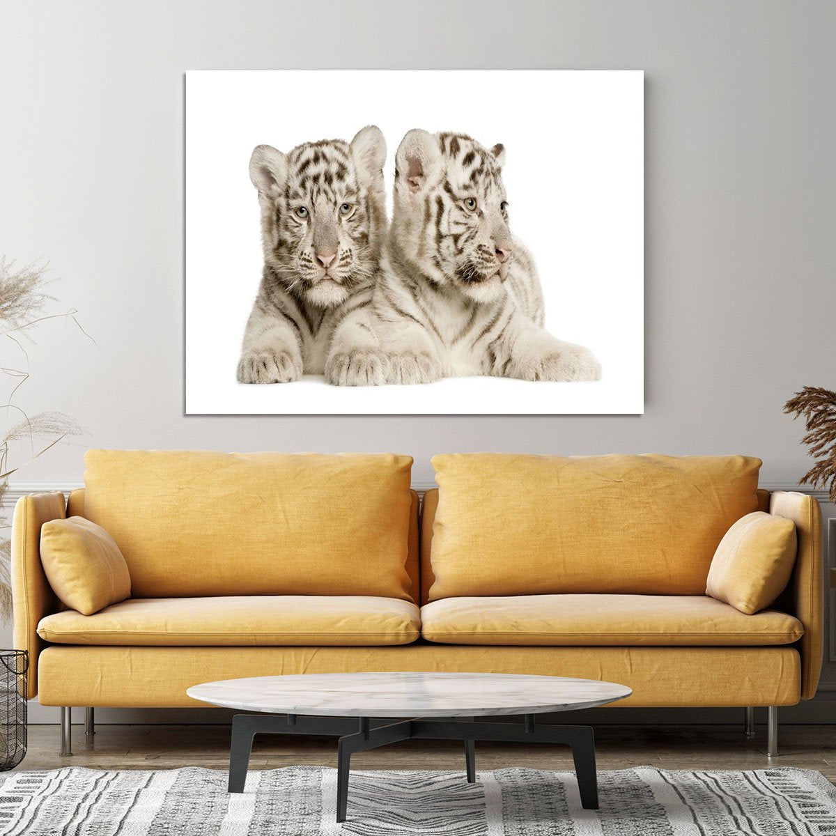 White Tiger cubs Canvas Print or Poster