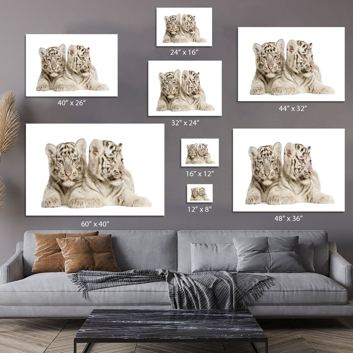 White Tiger cubs Canvas Print or Poster