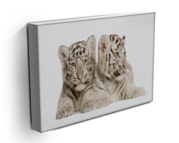 White Tiger cubs Canvas Print or Poster - Canvas Art Rocks - 3