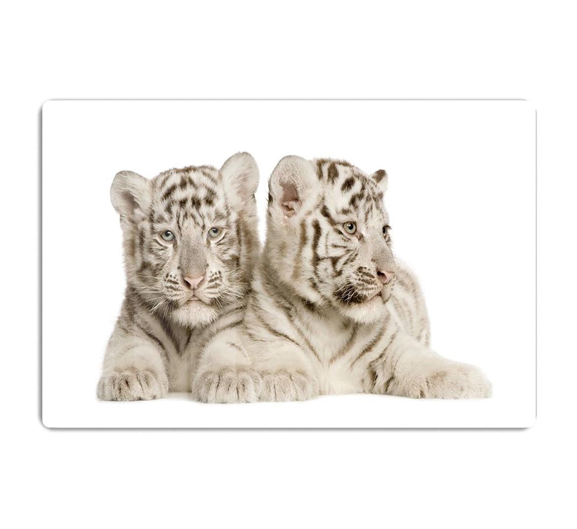 White Tiger cubs HD Metal Print - Canvas Art Rocks - 1