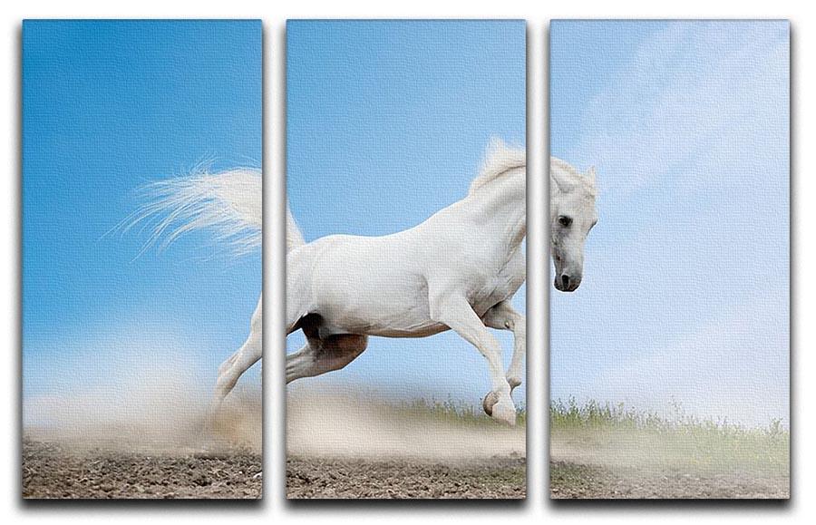 White arabian horse 3 Split Panel Canvas Print - Canvas Art Rocks - 1