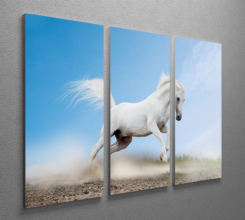 White arabian horse 3 Split Panel Canvas Print - Canvas Art Rocks - 2