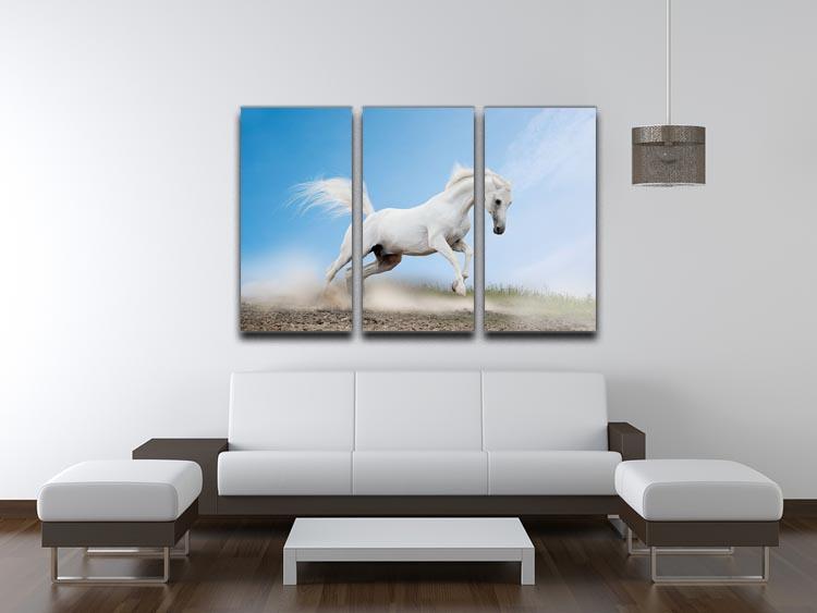 White arabian horse 3 Split Panel Canvas Print - Canvas Art Rocks - 3