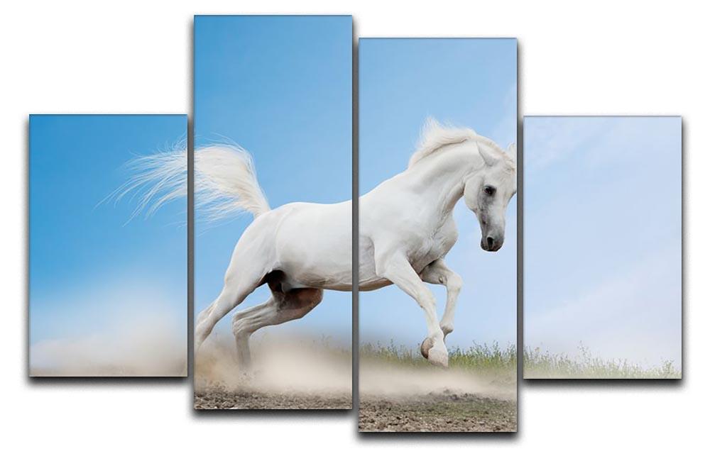 White arabian horse 4 Split Panel Canvas - Canvas Art Rocks - 1