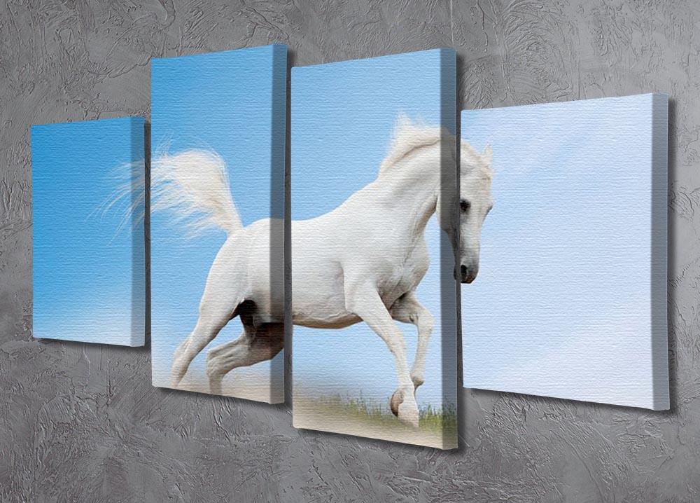 White arabian horse 4 Split Panel Canvas - Canvas Art Rocks - 2