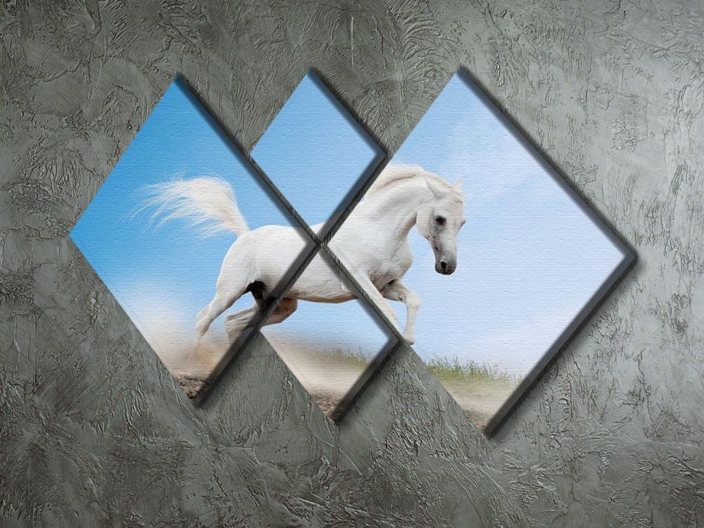 White arabian horse 4 Square Multi Panel Canvas - Canvas Art Rocks - 2