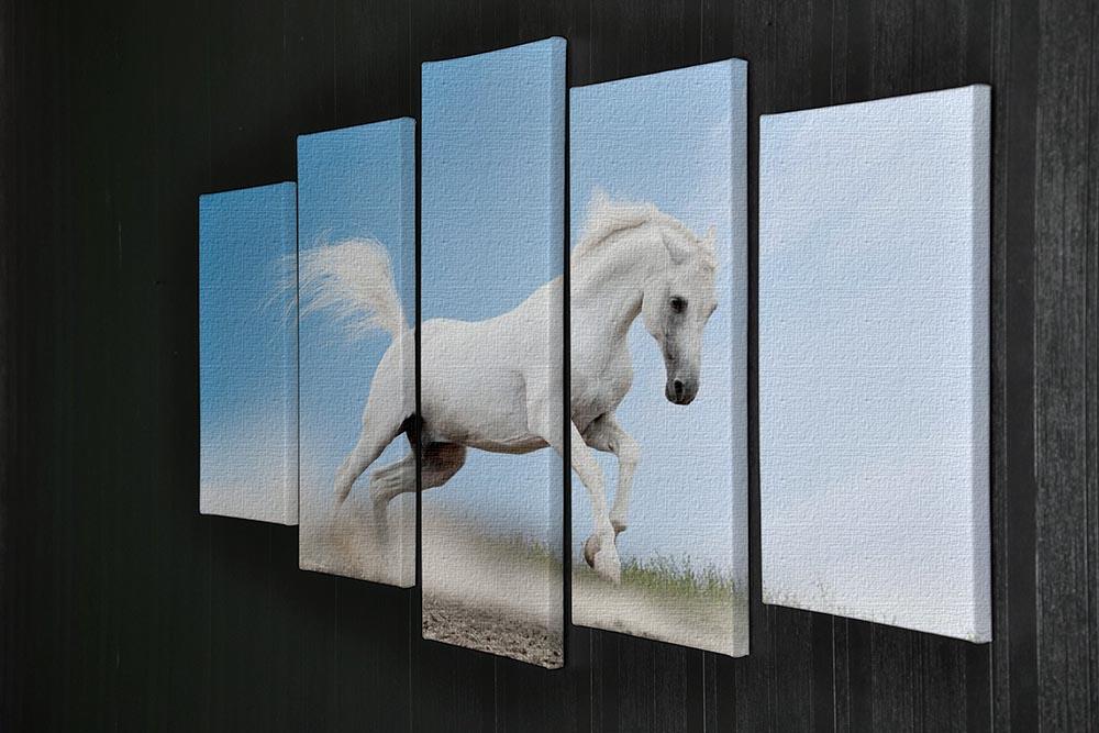 White arabian horse 5 Split Panel Canvas - Canvas Art Rocks - 2
