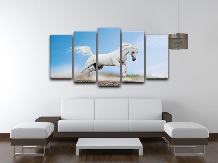 White arabian horse 5 Split Panel Canvas - Canvas Art Rocks - 3