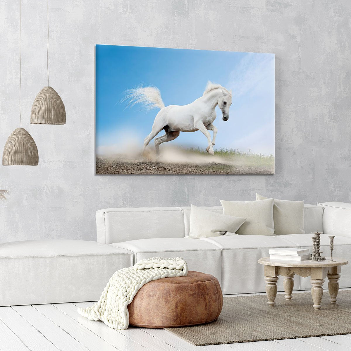 White arabian horse Canvas Print or Poster