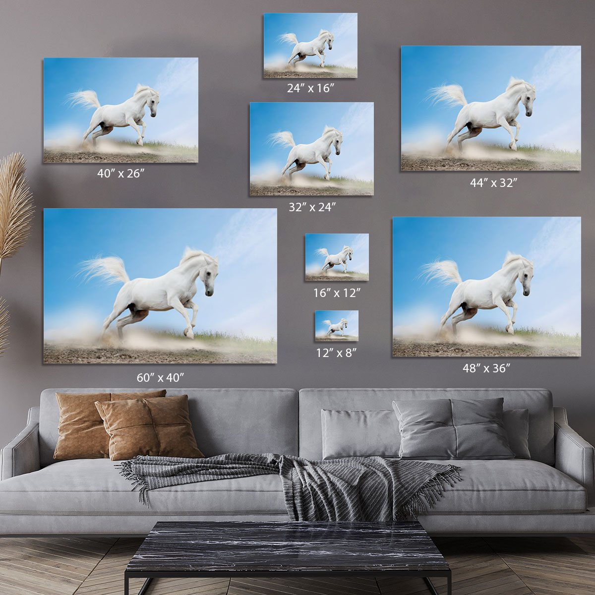 White arabian horse Canvas Print or Poster