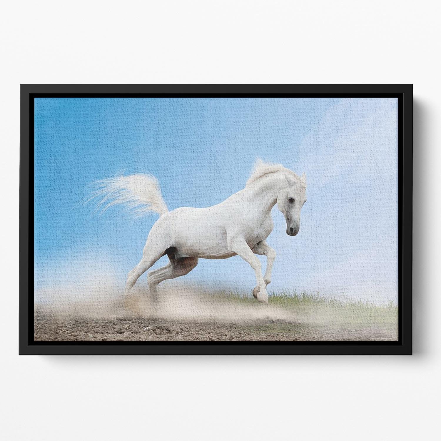 White arabian horse Floating Framed Canvas - Canvas Art Rocks - 2