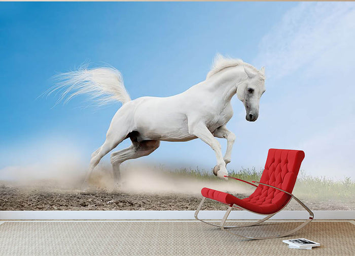 White arabian horse Wall Mural Wallpaper