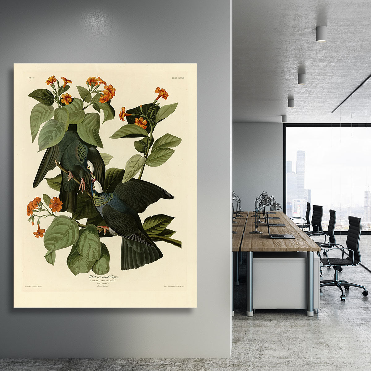 White crowned Pigeon by Audubon Canvas Print or Poster - Canvas Art Rocks - 3