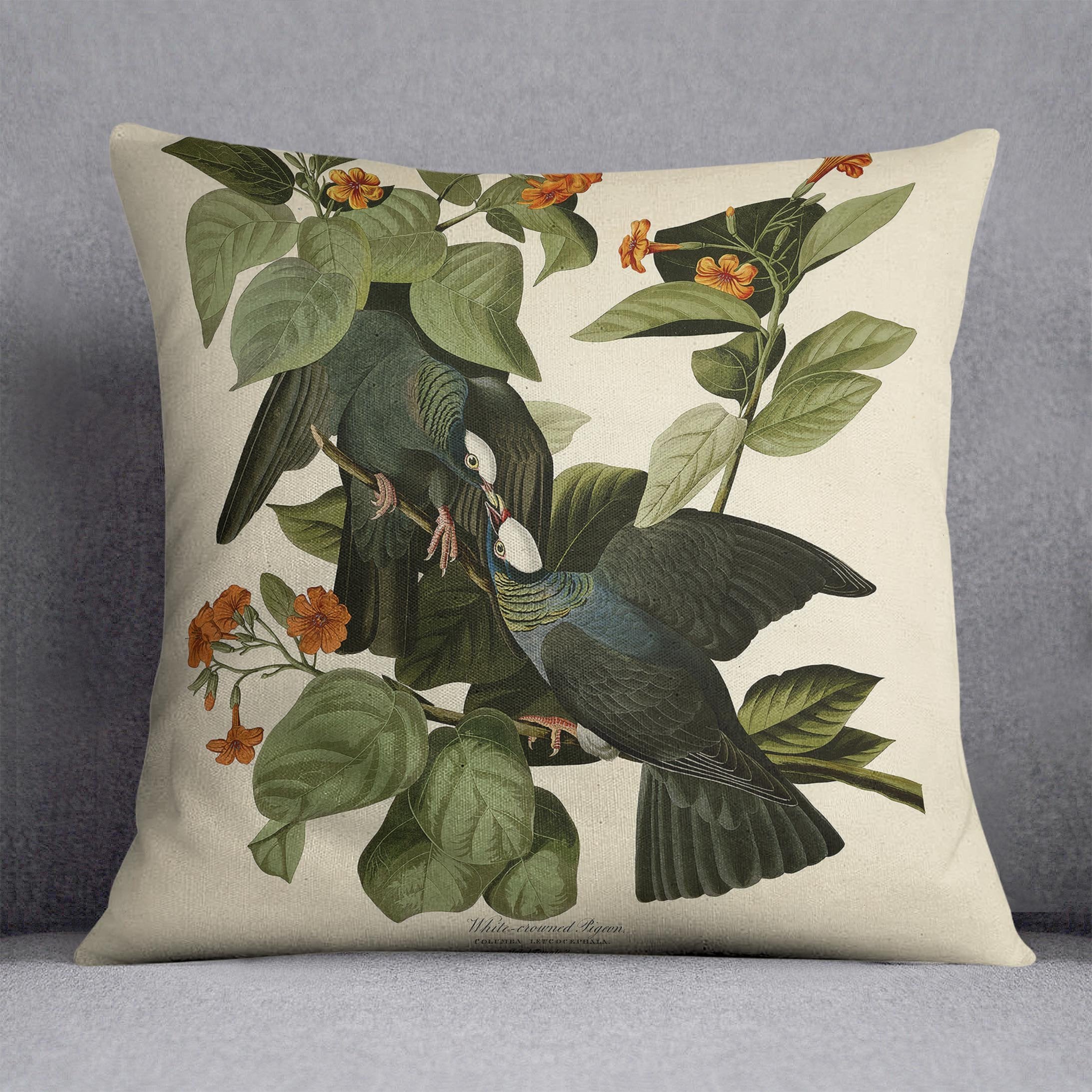 White crowned Pigeon by Audubon Cushion