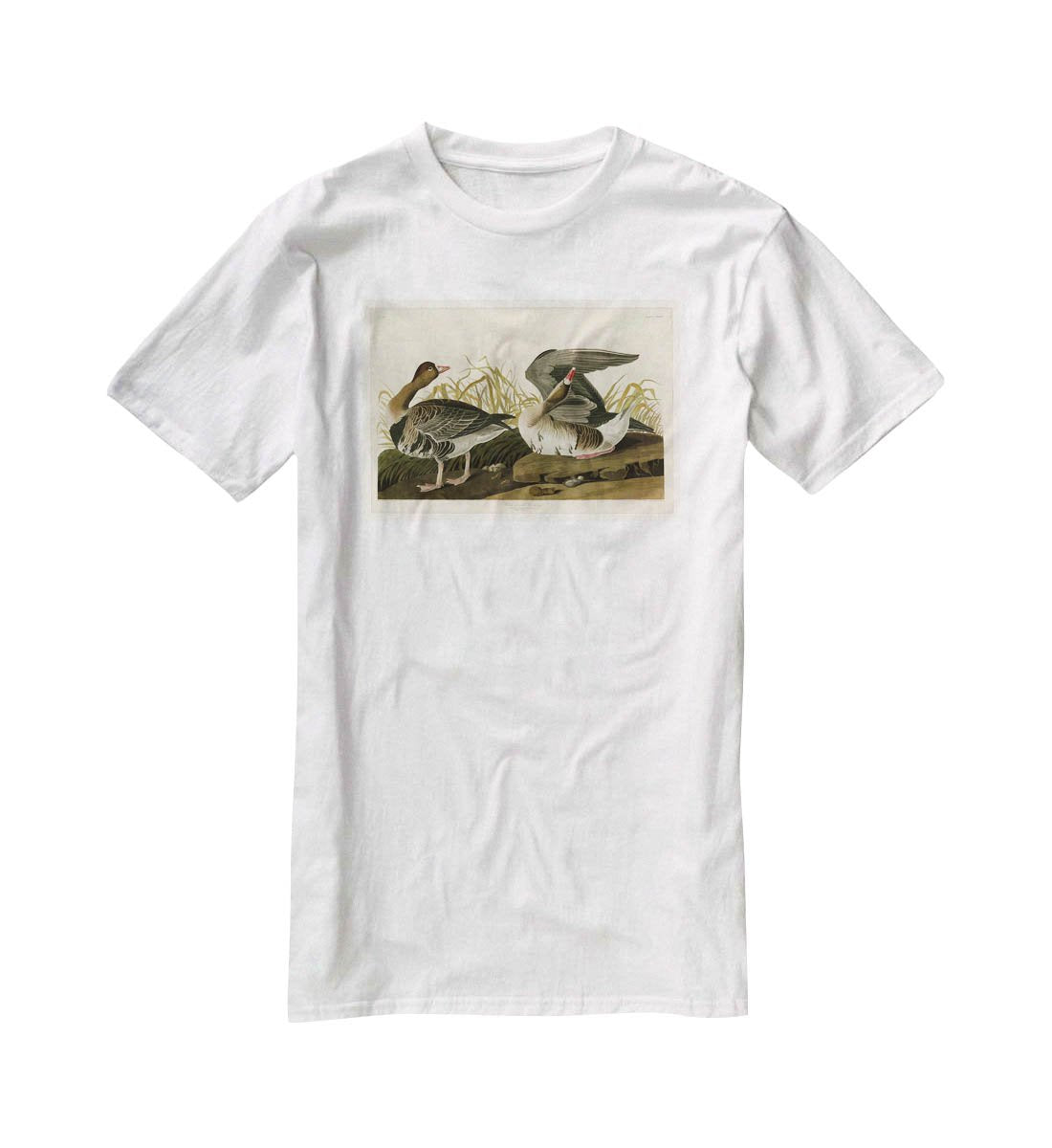 White fronted Goose by Audubon T-Shirt - Canvas Art Rocks - 5