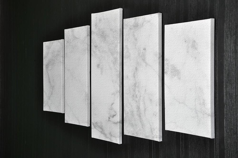 White gray marble patterned 5 Split Panel Canvas - Canvas Art Rocks - 2