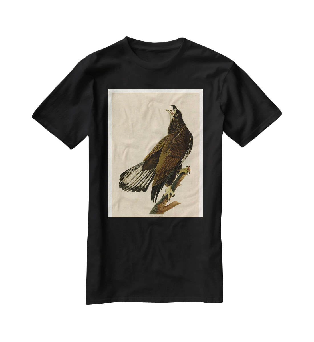 White headed Eagle 2 by Audubon T-Shirt - Canvas Art Rocks - 1