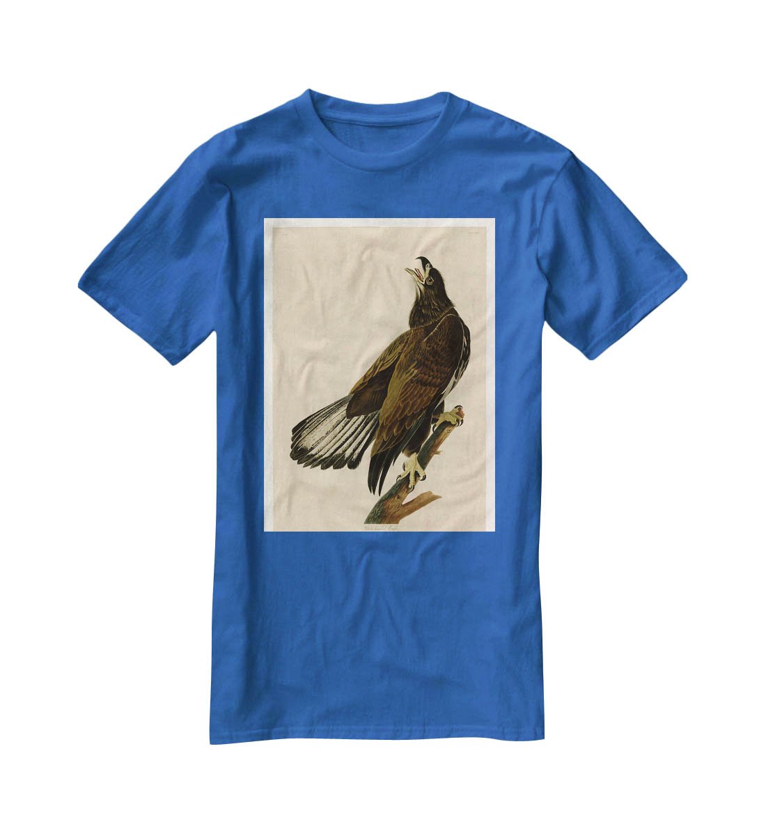 White headed Eagle 2 by Audubon T-Shirt - Canvas Art Rocks - 2