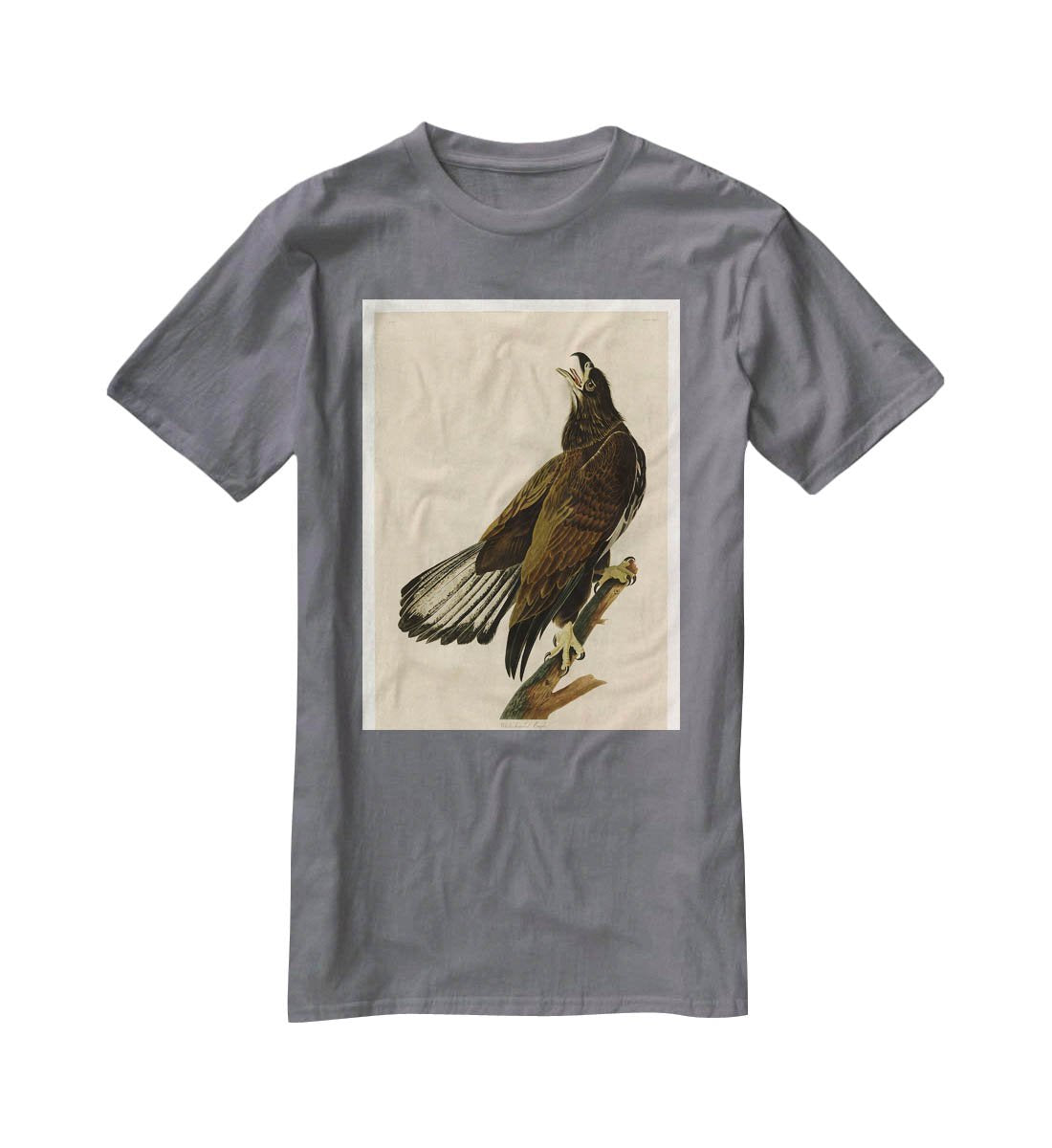 White headed Eagle 2 by Audubon T-Shirt - Canvas Art Rocks - 3