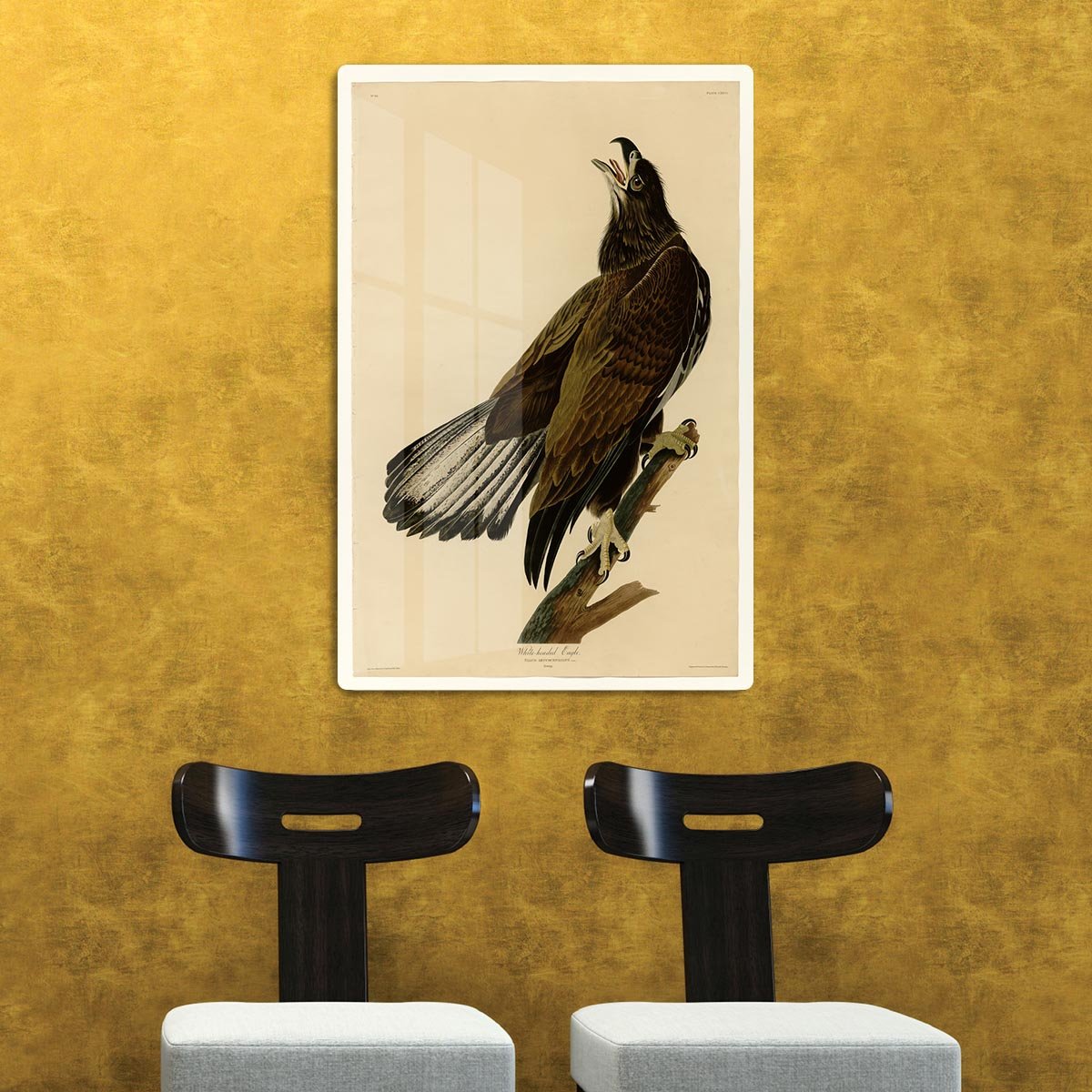 White headed Eagle 2 by Audubon HD Metal Print - Canvas Art Rocks - 2