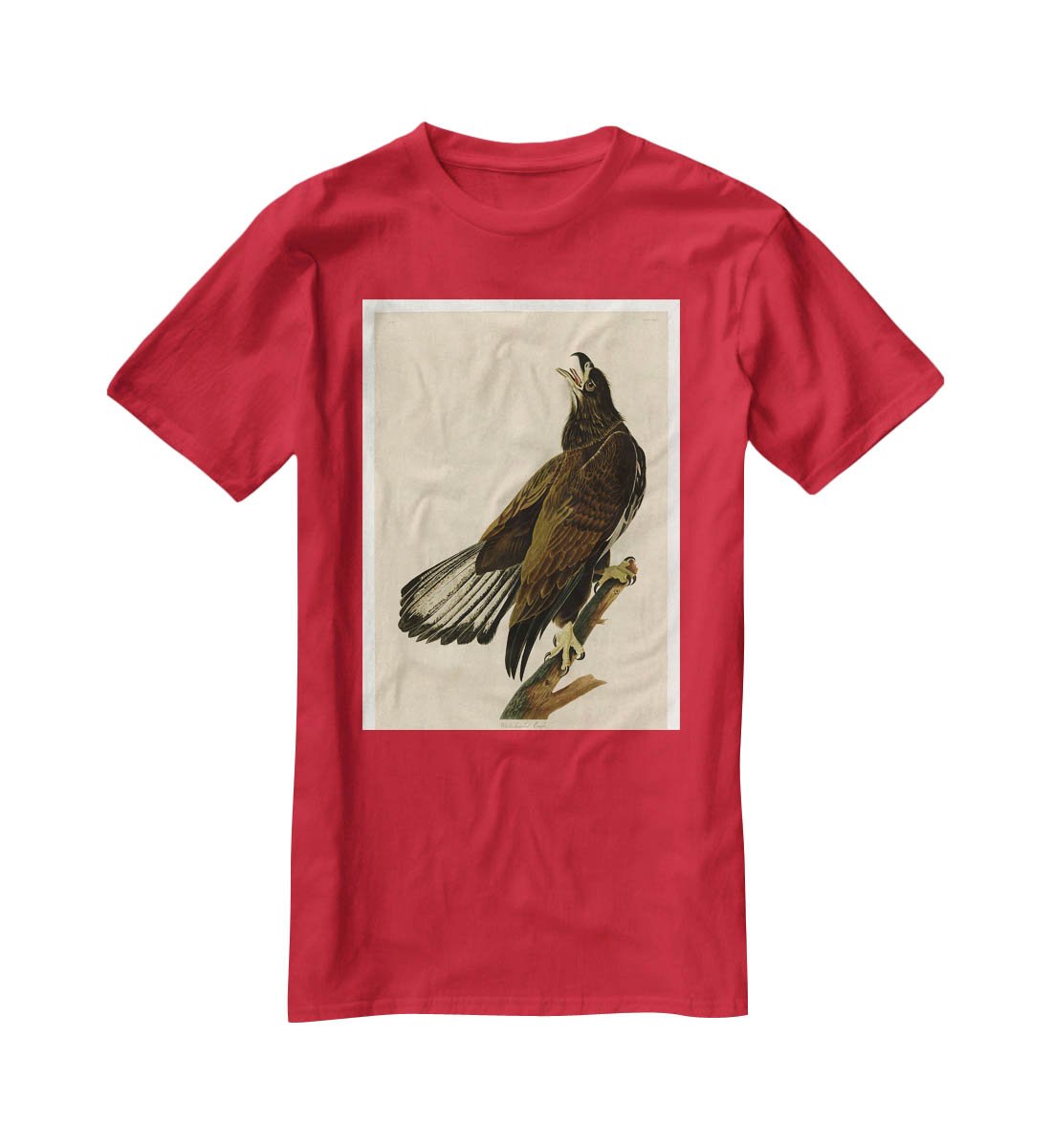 White headed Eagle 2 by Audubon T-Shirt - Canvas Art Rocks - 4