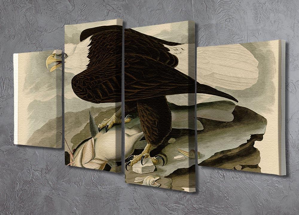 White headed Eagle by Audubon 4 Split Panel Canvas - Canvas Art Rocks - 2