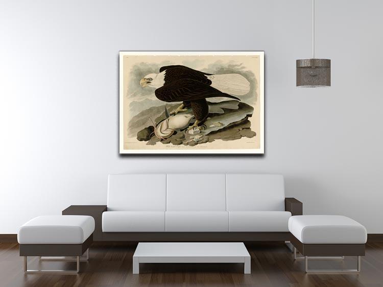 White headed Eagle by Audubon Canvas Print or Poster - Canvas Art Rocks - 4