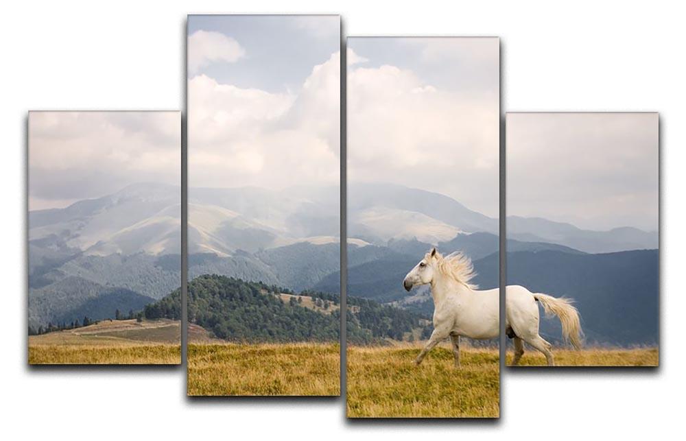 White horse 4 Split Panel Canvas - Canvas Art Rocks - 1
