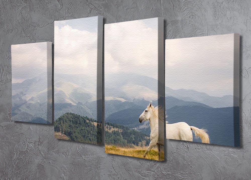 White horse 4 Split Panel Canvas - Canvas Art Rocks - 2