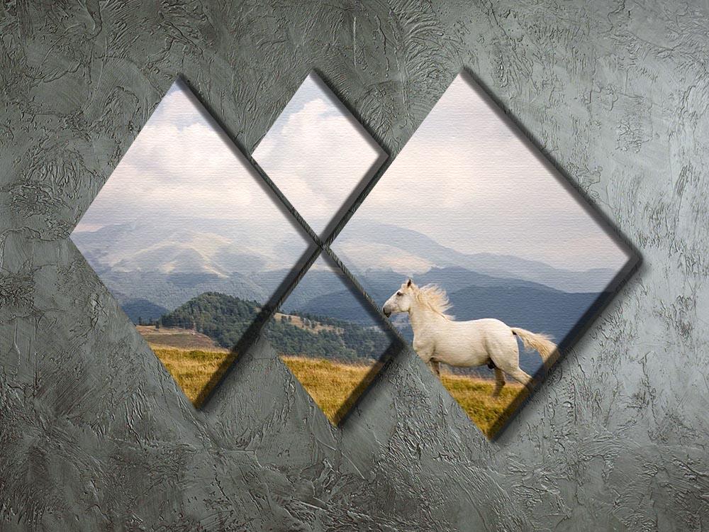 White horse 4 Square Multi Panel Canvas - Canvas Art Rocks - 2