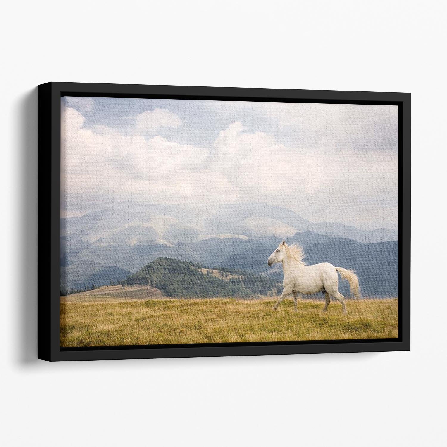 White horse Floating Framed Canvas - Canvas Art Rocks - 1