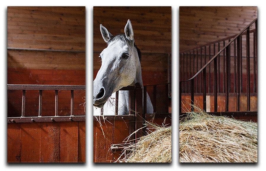 White horse eating hay in the stable 3 Split Panel Canvas Print - Canvas Art Rocks - 1