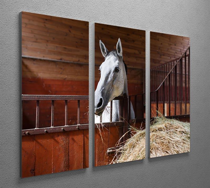 White horse eating hay in the stable 3 Split Panel Canvas Print - Canvas Art Rocks - 2
