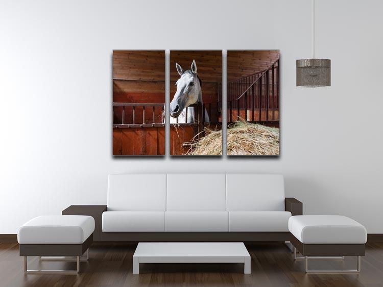 White horse eating hay in the stable 3 Split Panel Canvas Print - Canvas Art Rocks - 3