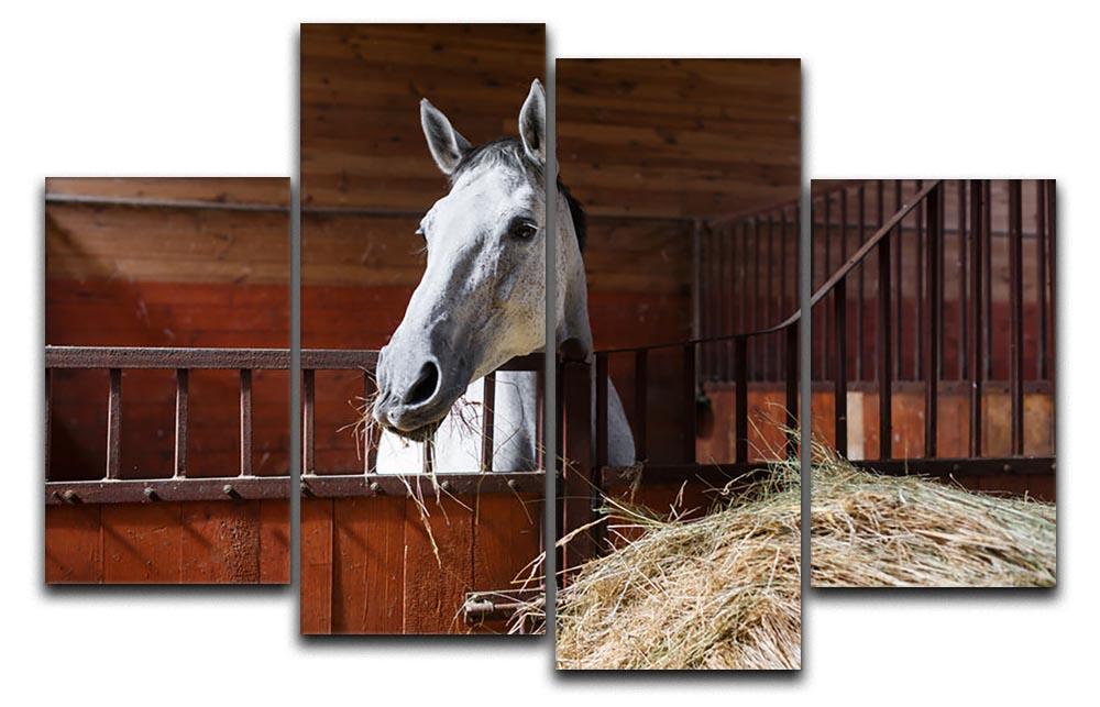 White horse eating hay in the stable 4 Split Panel Canvas - Canvas Art Rocks - 1