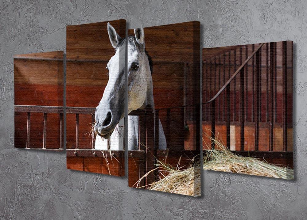 White horse eating hay in the stable 4 Split Panel Canvas - Canvas Art Rocks - 2