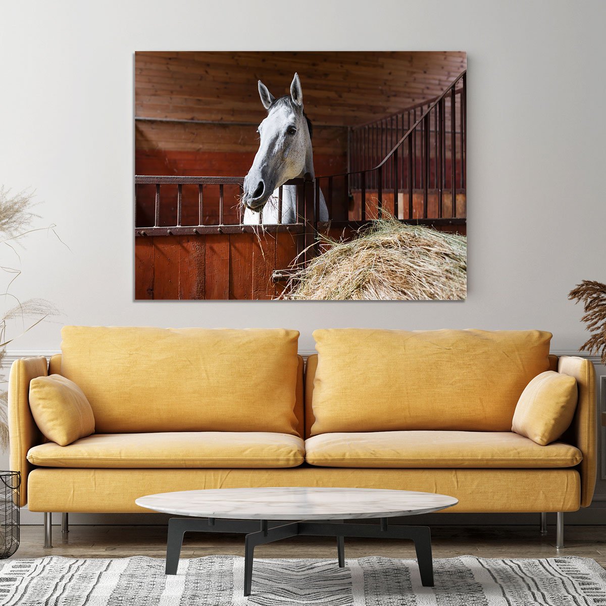 White horse eating hay in the stable Canvas Print or Poster