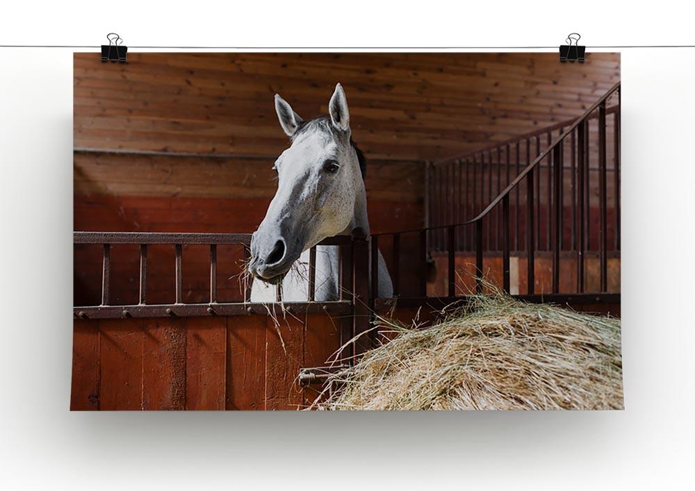 White horse eating hay in the stable Canvas Print or Poster - Canvas Art Rocks - 2