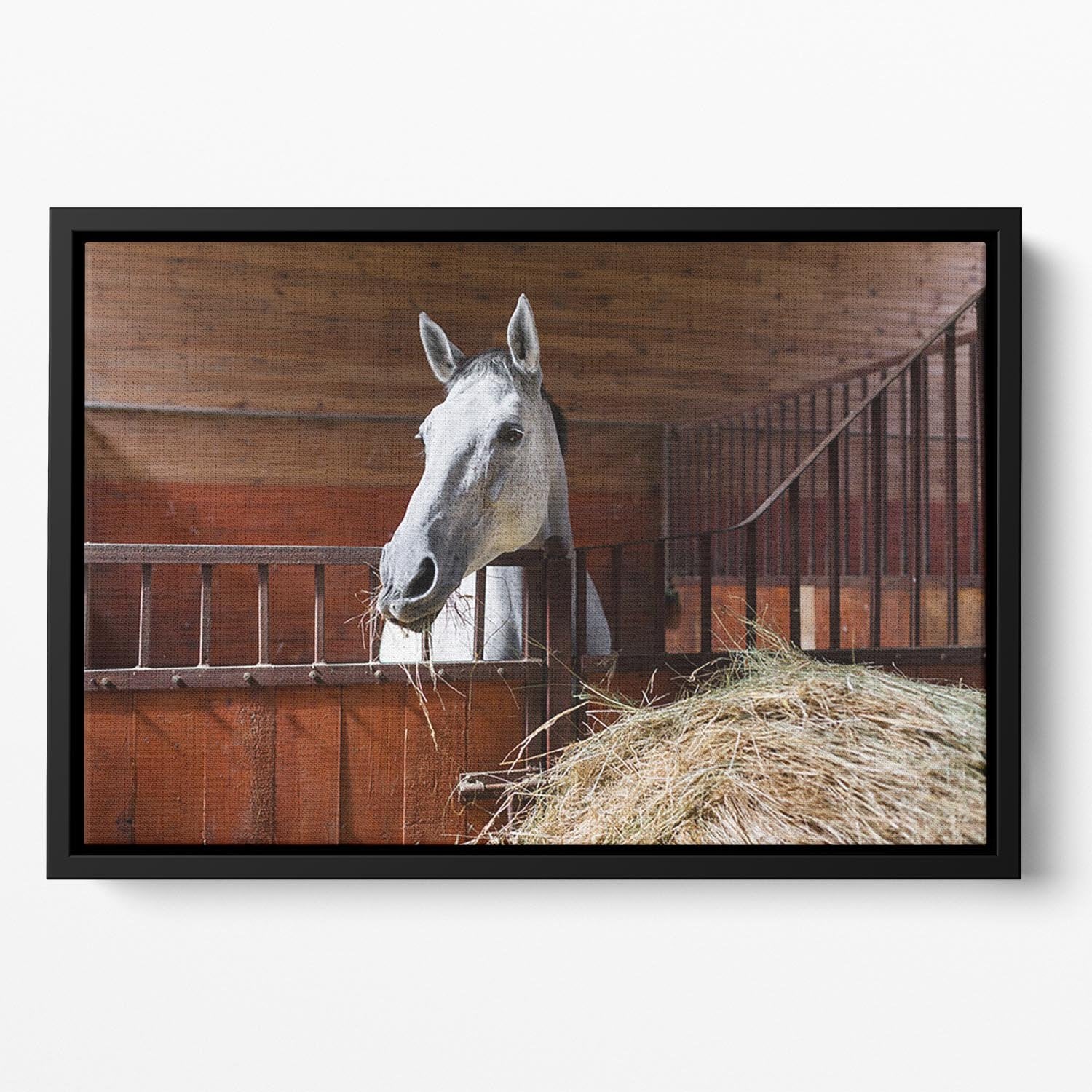 White horse eating hay in the stable Floating Framed Canvas - Canvas Art Rocks - 2