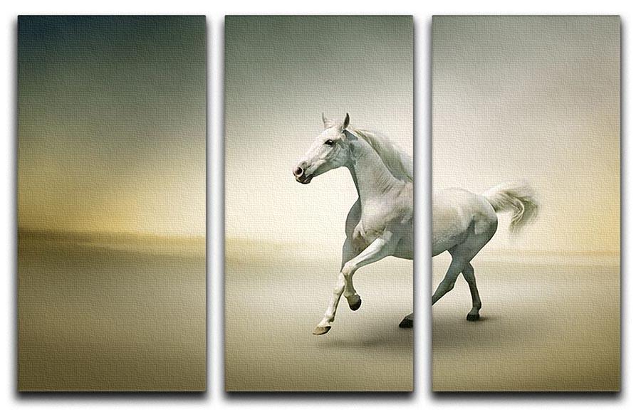 White horse in motion 3 Split Panel Canvas Print - Canvas Art Rocks - 1