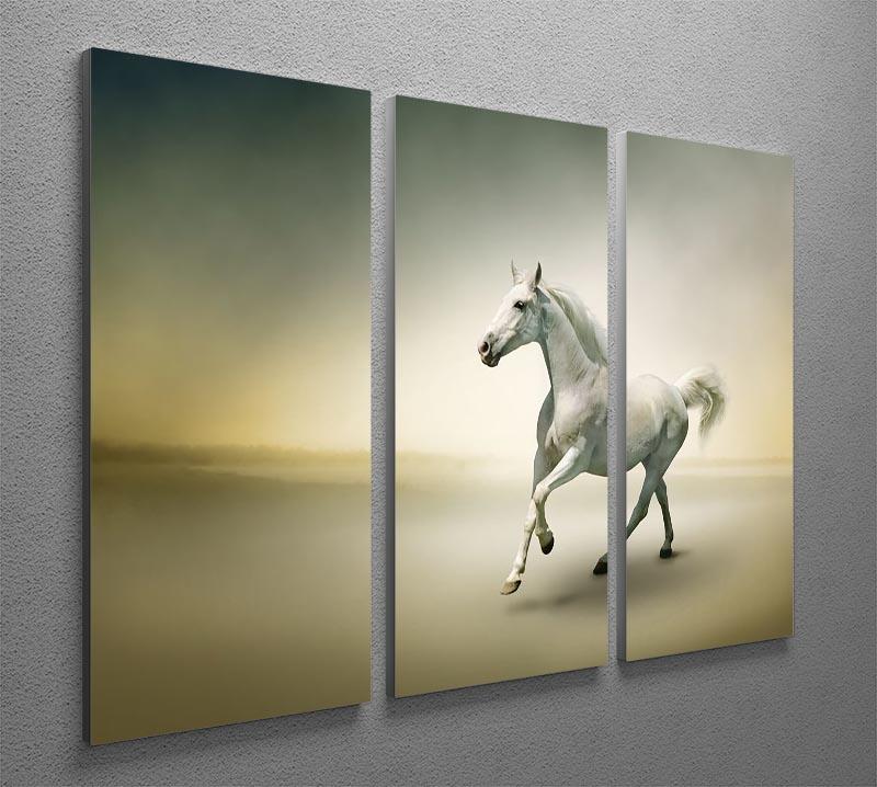 White horse in motion 3 Split Panel Canvas Print - Canvas Art Rocks - 2