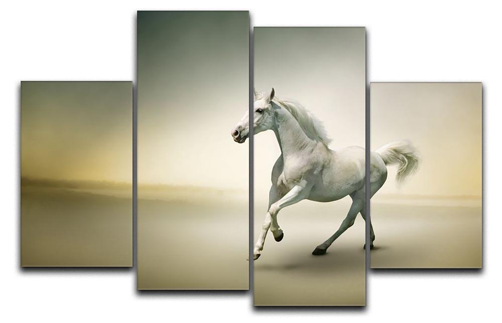 White horse in motion 4 Split Panel Canvas - Canvas Art Rocks - 1