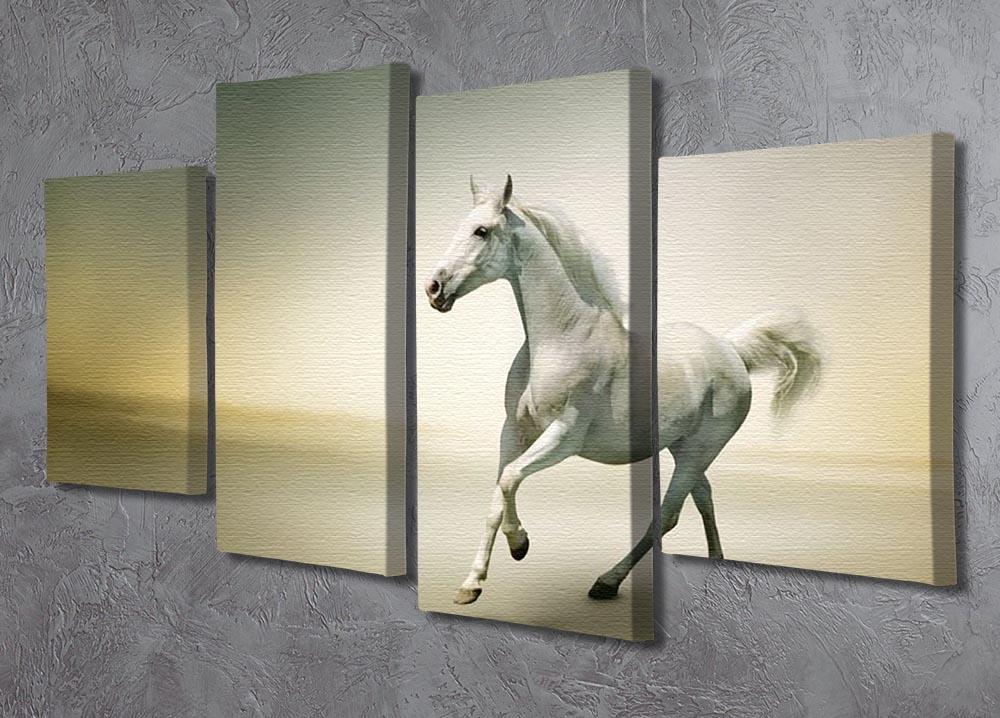 White horse in motion 4 Split Panel Canvas - Canvas Art Rocks - 2