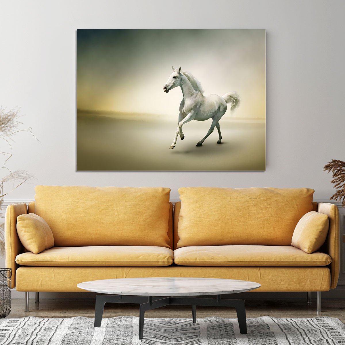 White horse in motion Canvas Print or Poster
