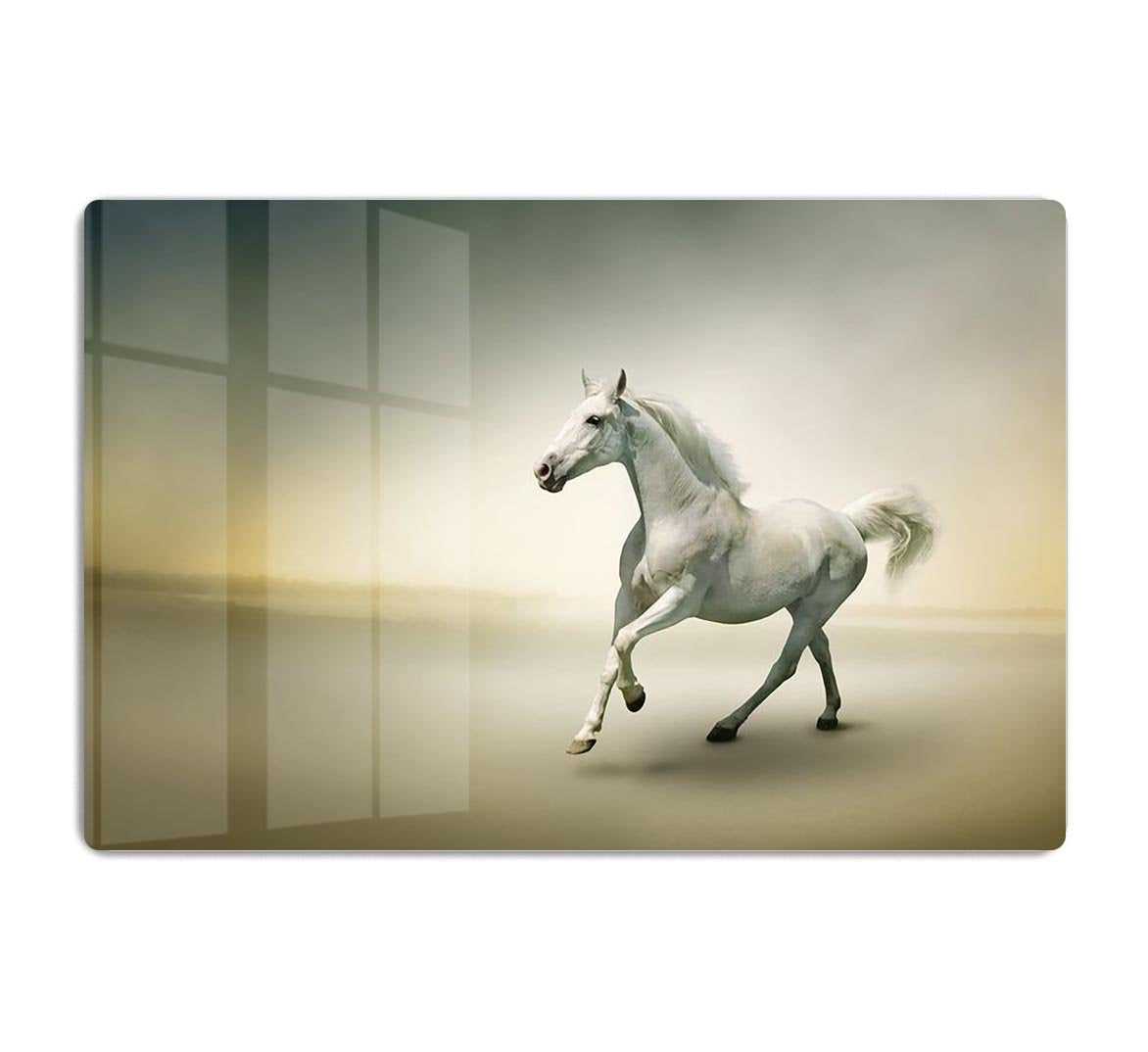 White horse in motion HD Metal Print - Canvas Art Rocks - 1