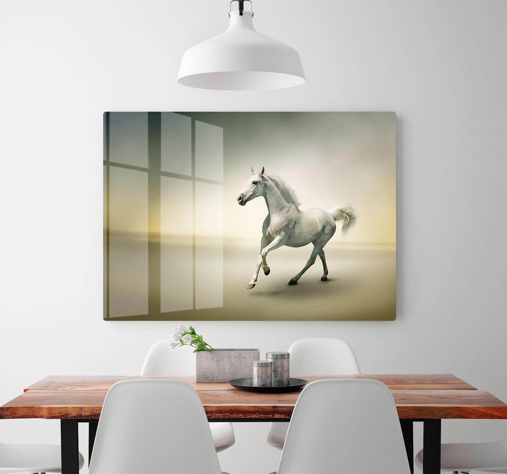 White horse in motion HD Metal Print - Canvas Art Rocks - 2