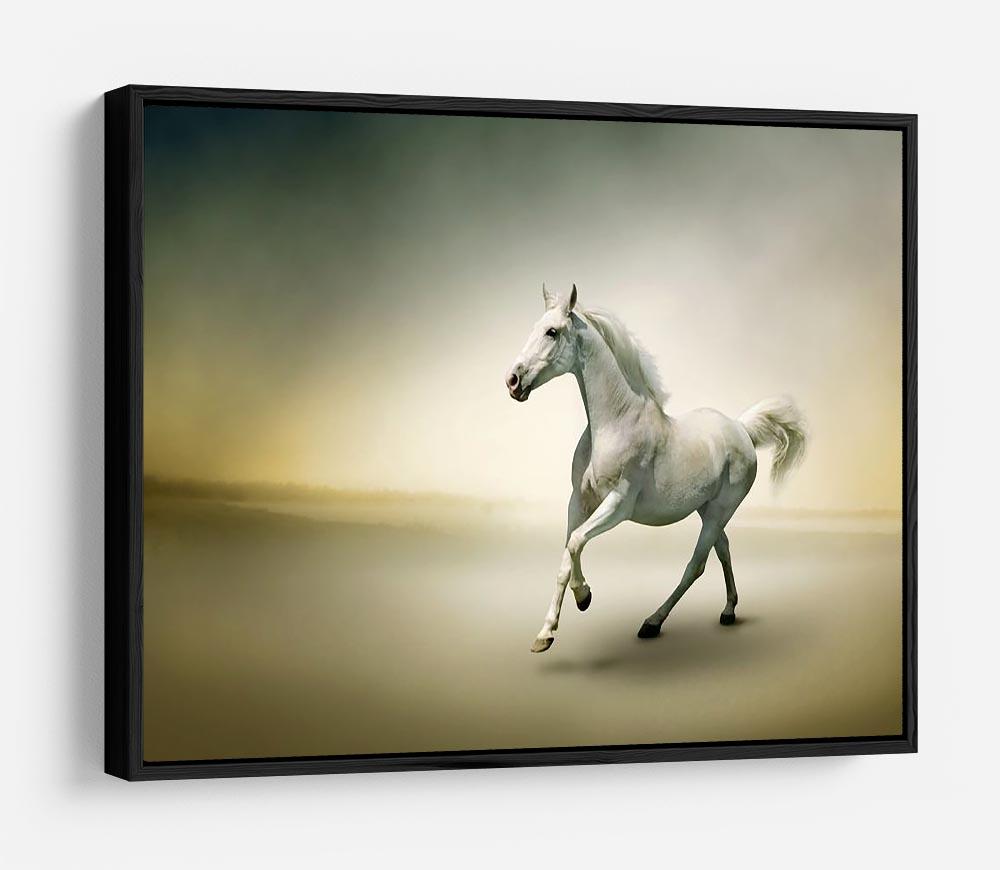 White horse in motion HD Metal Print - Canvas Art Rocks - 6