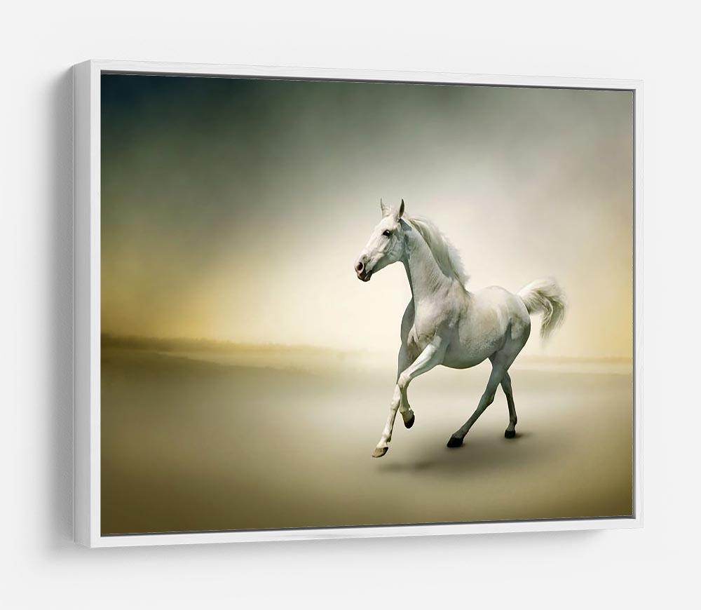 White horse in motion HD Metal Print - Canvas Art Rocks - 7