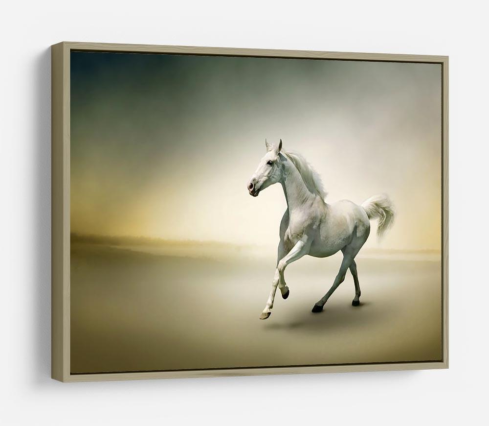 White horse in motion HD Metal Print - Canvas Art Rocks - 8